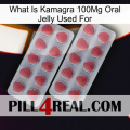 What Is Kamagra 100Mg Oral Jelly Used For 19